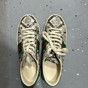 Gucci snake skin sneaker